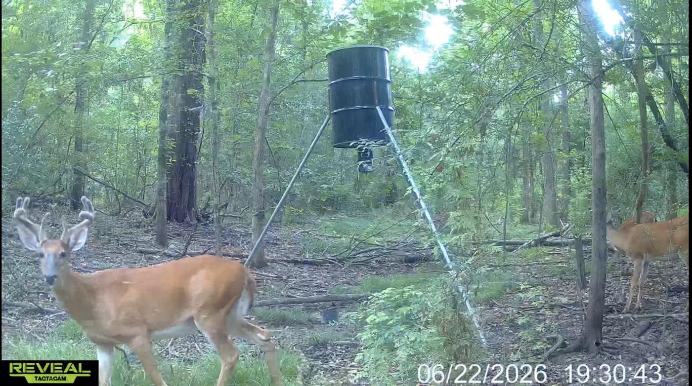 A&L Outfitters Louisiana waterfowl and hog hunting